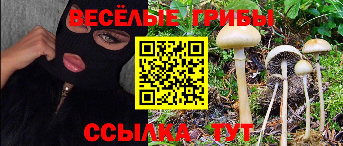 Alpha PVP Ревда