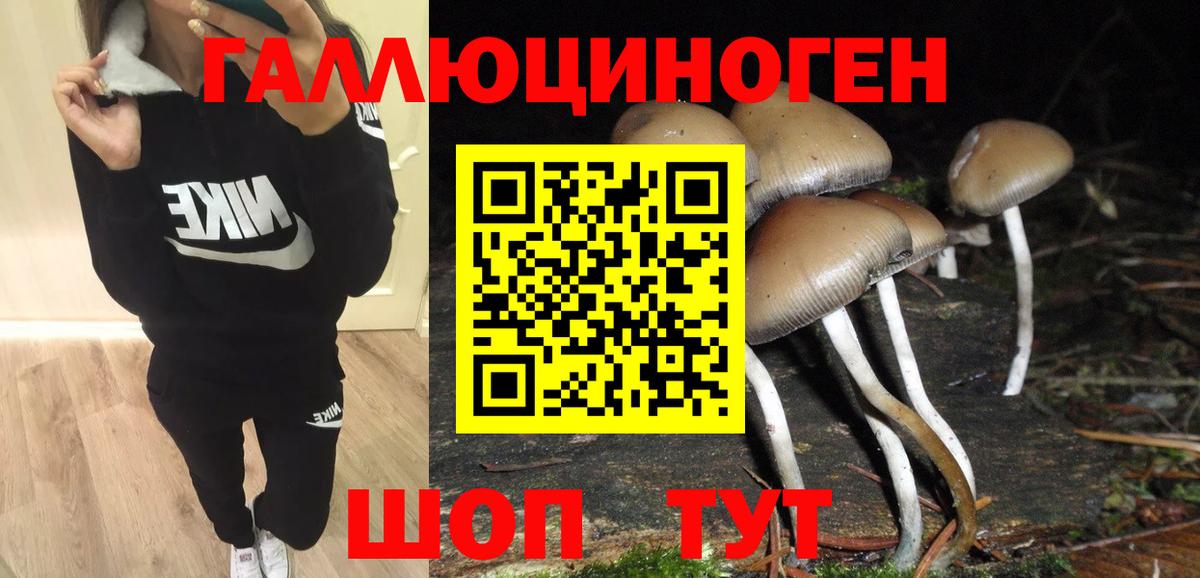 продажа наркотиков  Галлюциногенные грибы Psilocybe  Вход с VPN  Ревда  Галлюциногенные грибы Psilocybine cubensis 